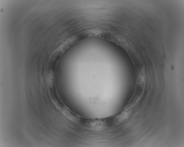 X0000074330468200609082036