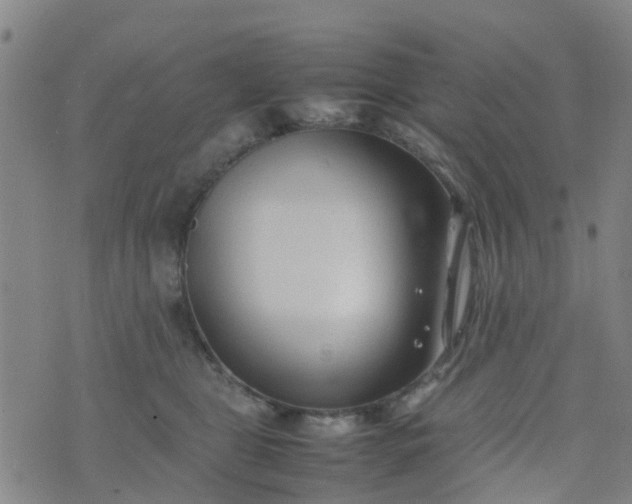 X0000074330469200609082036