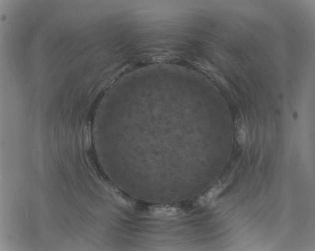 X0000074330471200609082036