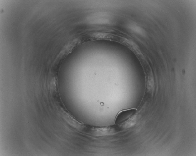 X0000074330473200609082037