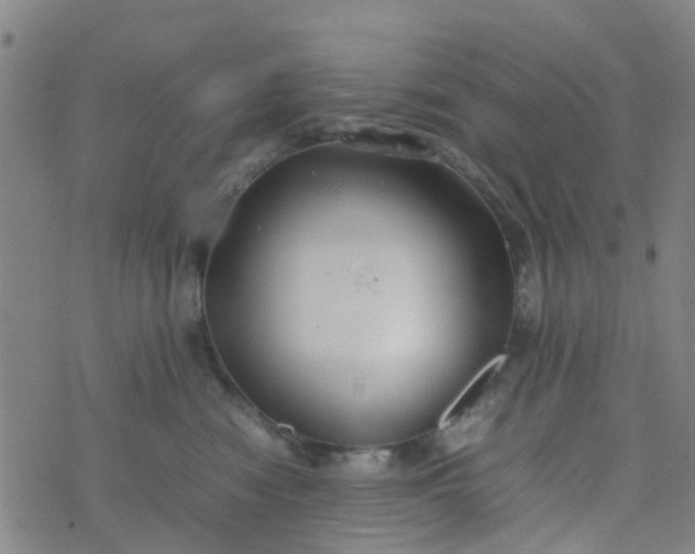 X0000074330474200609082037