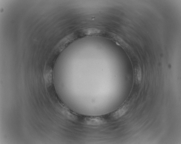 X0000074330475200609082037