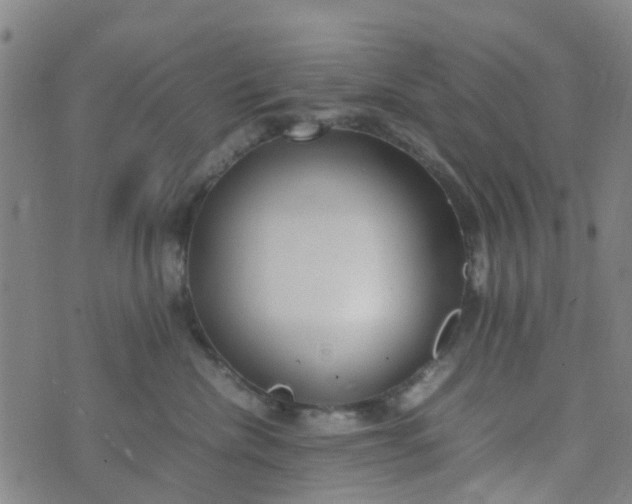 X0000074330476200609082037