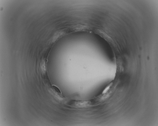 X0000074330479200609082037