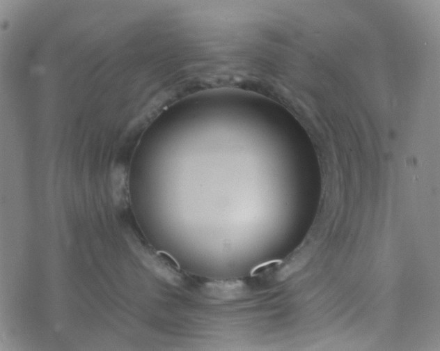 X0000074330480200609082037