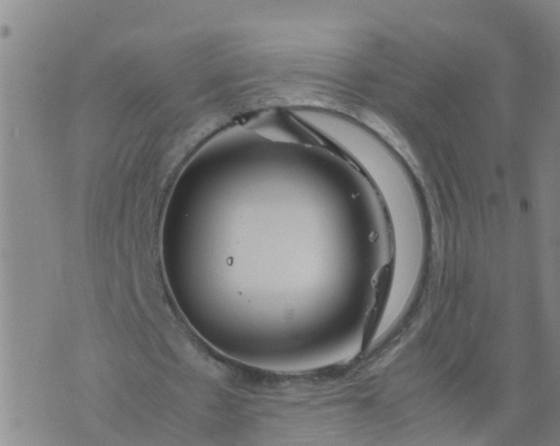 X0000074330481200609082036