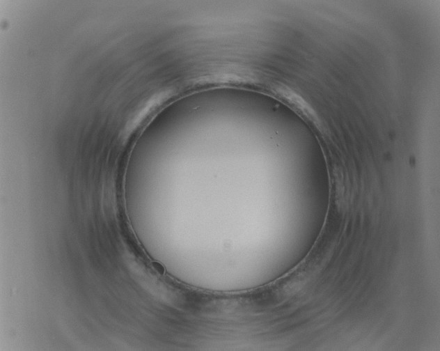 X0000074330482200609082036