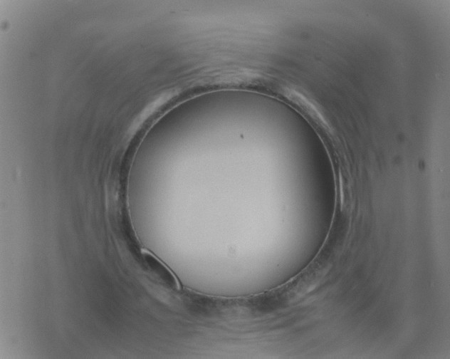 X0000074330483200609082036