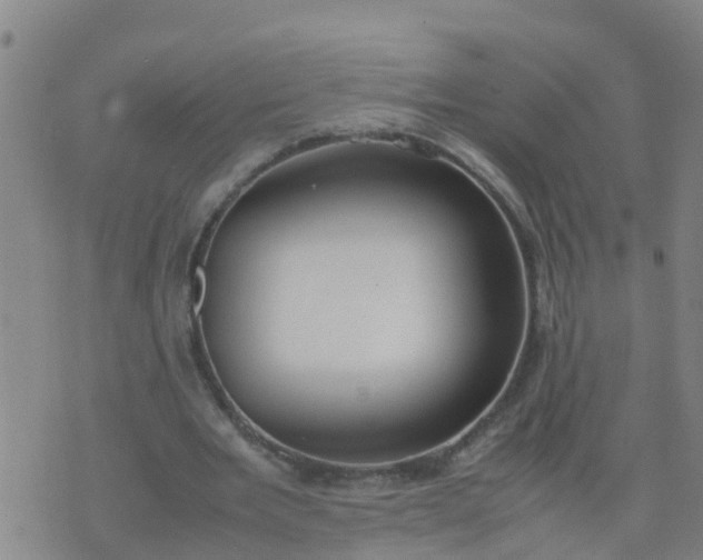 X0000074330485200609082036