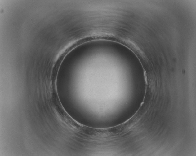 X0000074330488200609082036