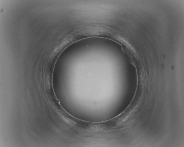 X0000074330489200609082036