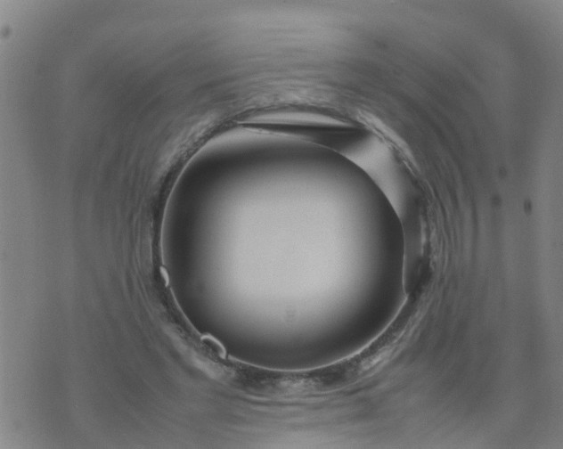 X0000074330493200609082036