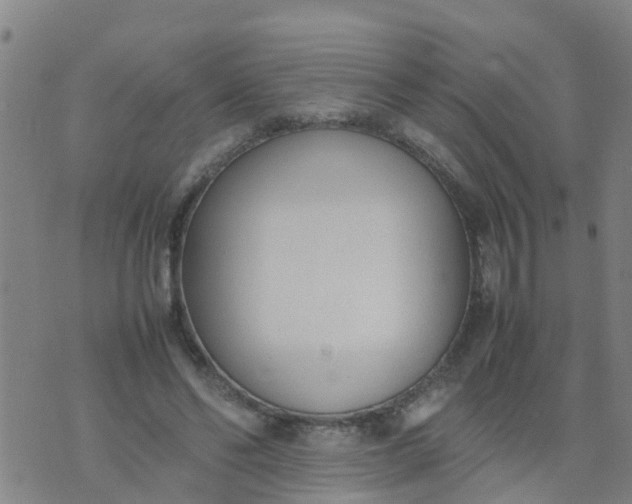 X0000074330494200609082036