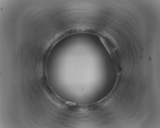 X0000074330496200609082036