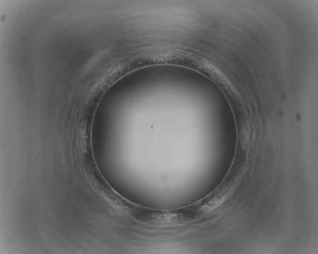 X0000074330497200609082036