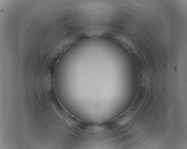 X0000074330498200609082036