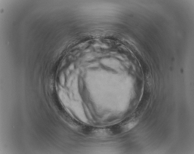 X0000074330499200609082036