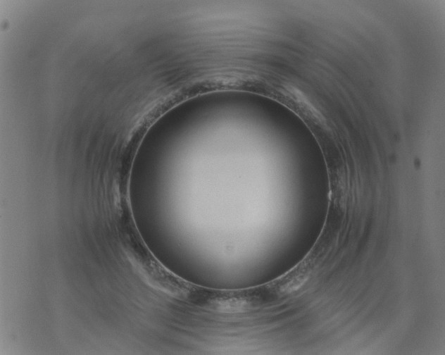 X0000074330500200609082036