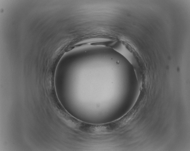 X0000074330501200609082036