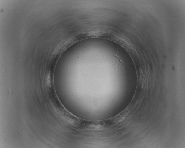 X0000074330502200609082036