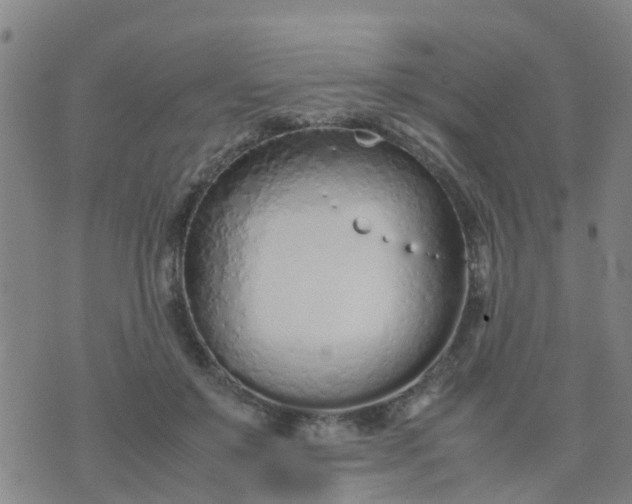 X0000074330503200609082036