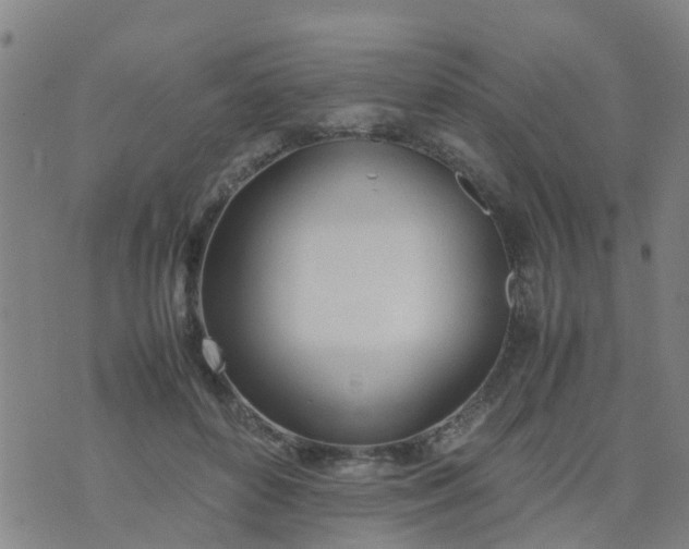 X0000074330504200609082035