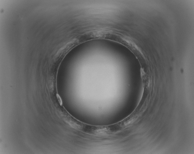 X0000074330505200609082035