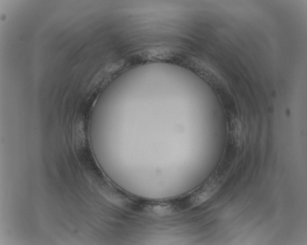 X0000074330506200609082035