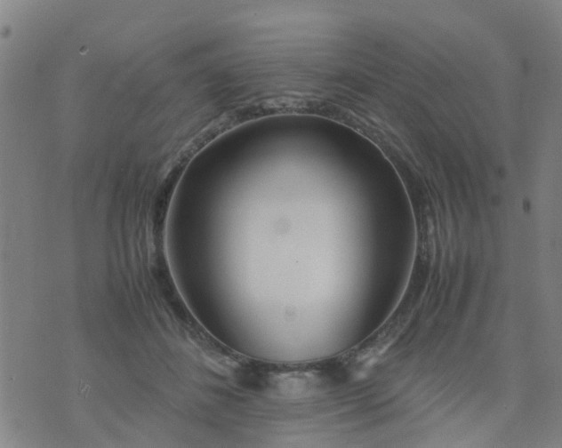 X0000074330508200609082035