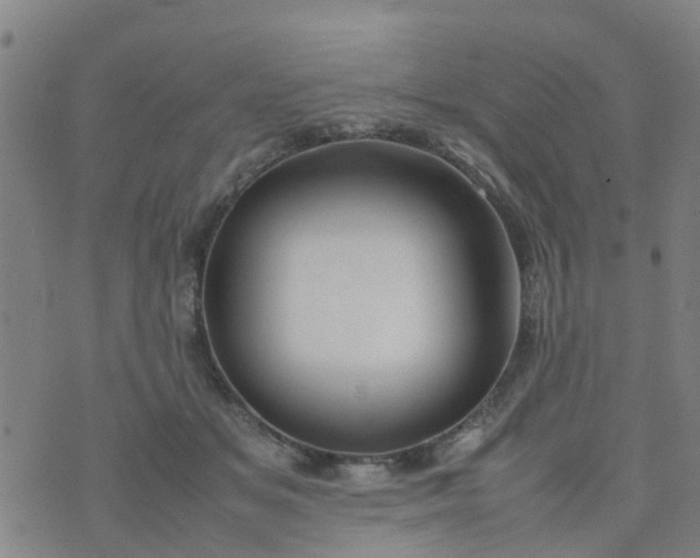 X0000074330509200609082035