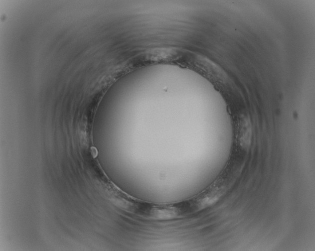 X0000074330510200609082035