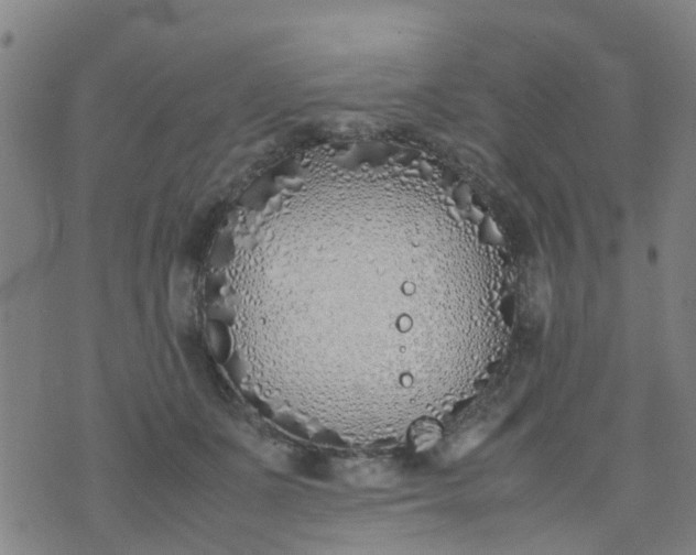 X0000074330511200609082035