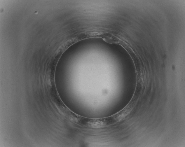 X0000074330512200609082035