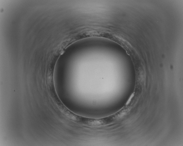 X0000074330513200609082035