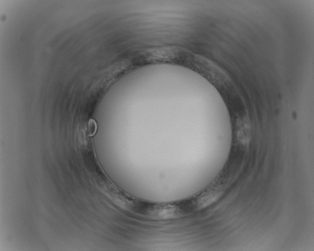 X0000074330514200609082035