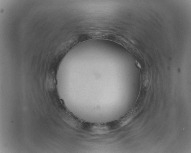 X0000074330515200609082035