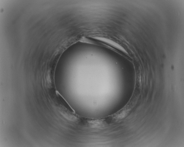 X0000074330516200609082035