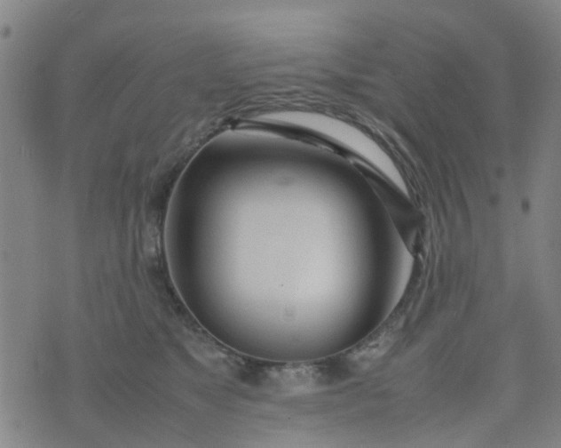 X0000074330517200609082035