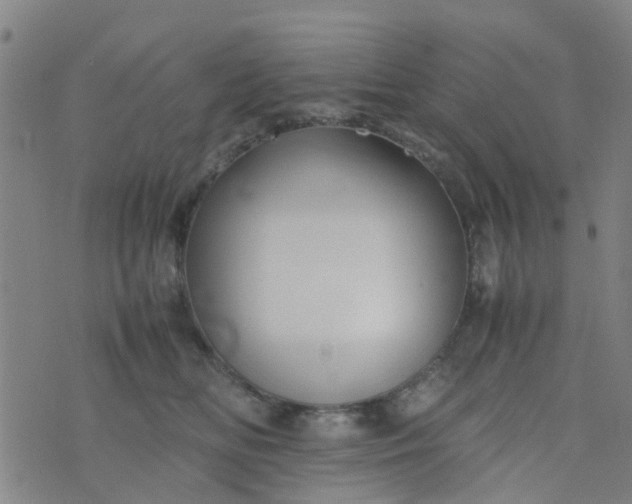 X0000074330518200609082035