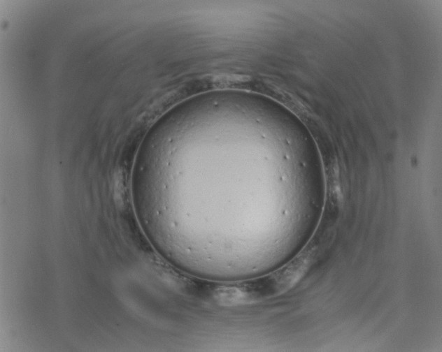 X0000074330519200609082035