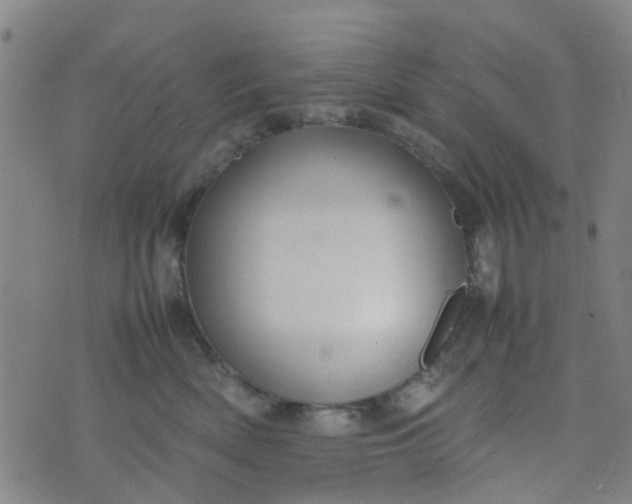 X0000074330522200609082035