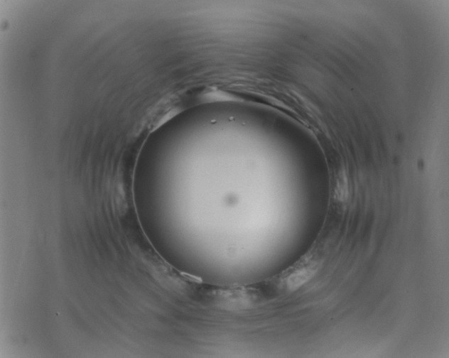 X0000074330524200609082035