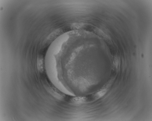 X0000074330526200609082035