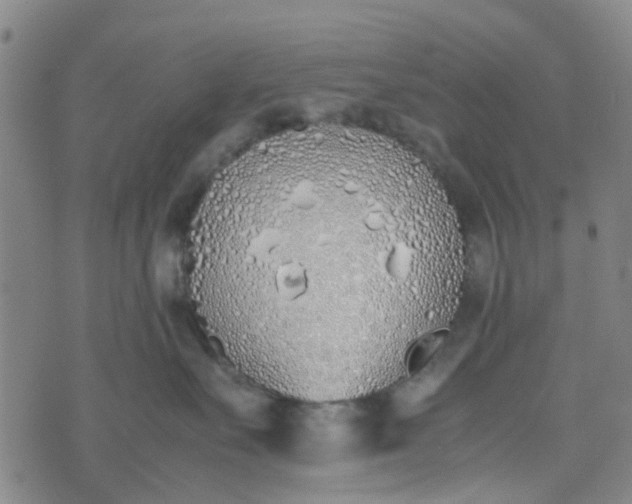 X0000074330527200609082035