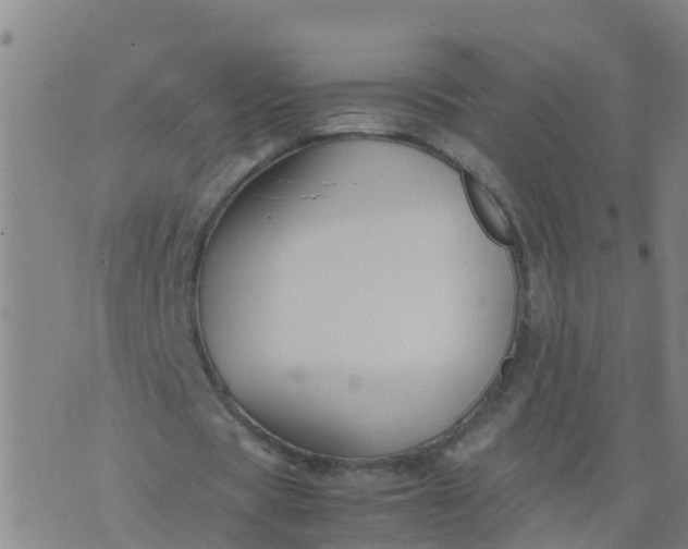 X0000074330529200609082034