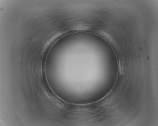 X0000074330531200609082034