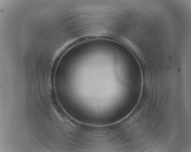 X0000074330532200609082034