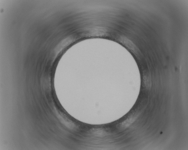 X0000074330534200609082034