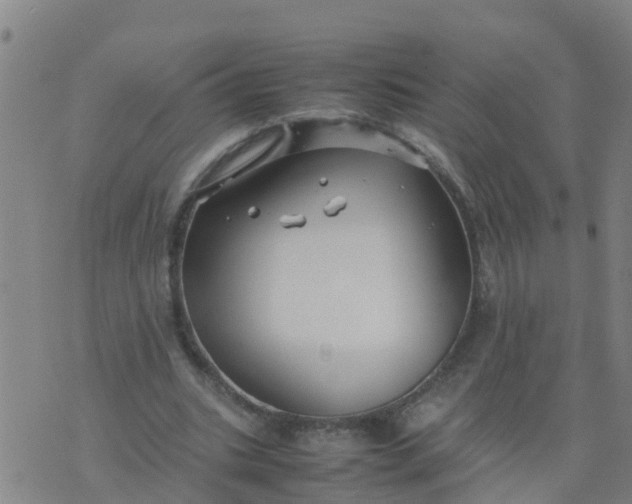 X0000074330535200609082034