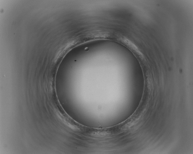 X0000074330537200609082034